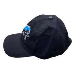 NFL Detroit Lions Split Logo M Dad Cap