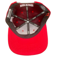 NHL Detroit Red Wings Logo Snapback