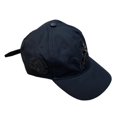 NFL Detroit Lions Triple Black Dads Hat