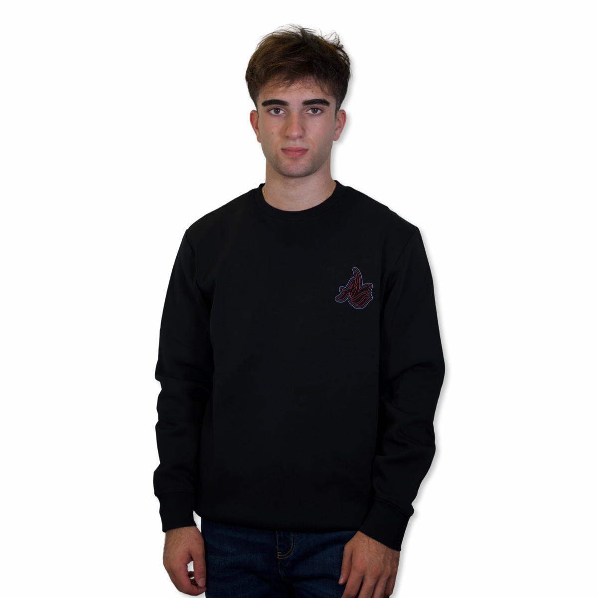 AL Crewneck Sweatshirt