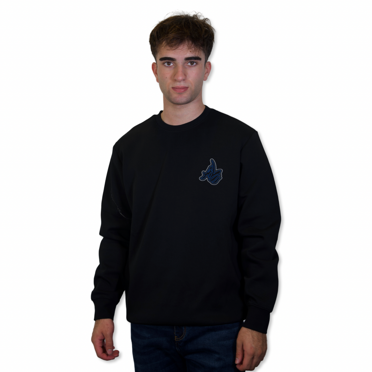 AL Crewneck Sweatshirt