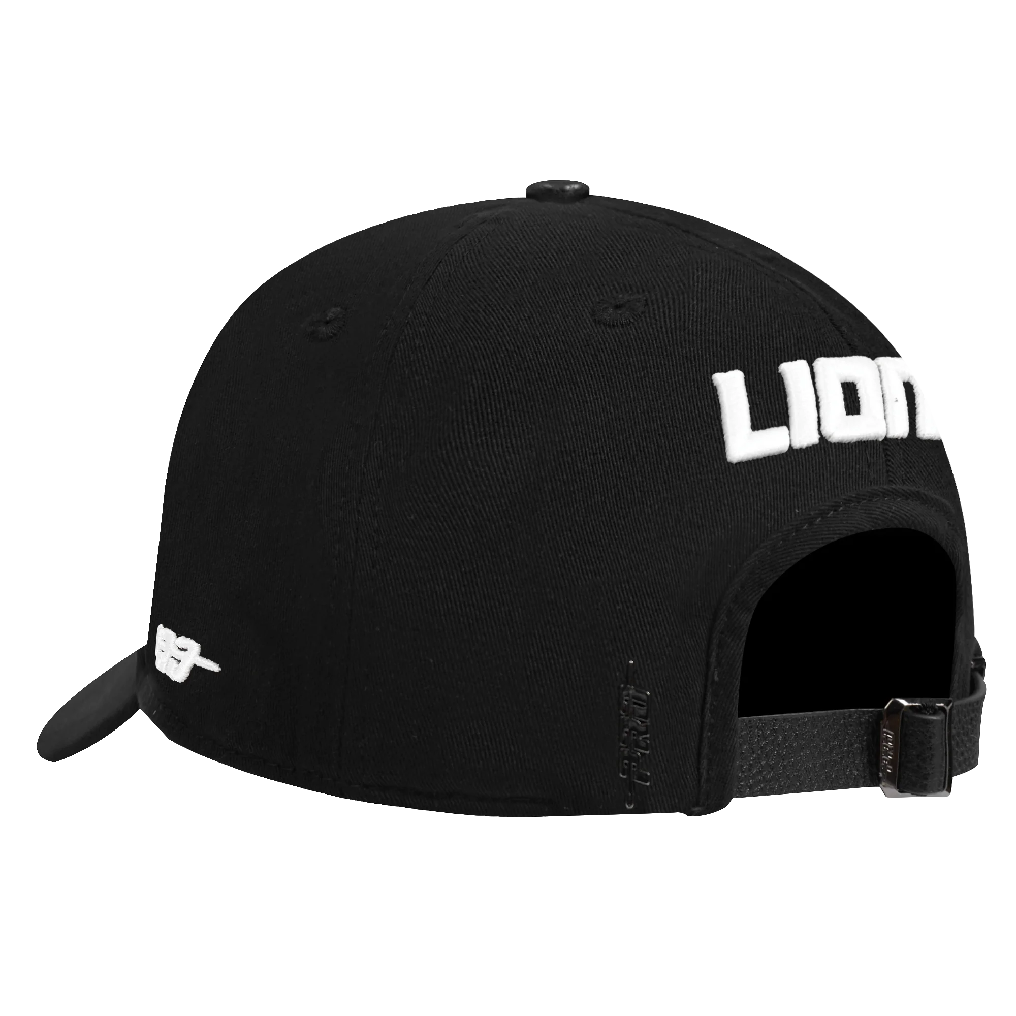 NFL Detroit Lions DIY Pick Stitch Dad Cap