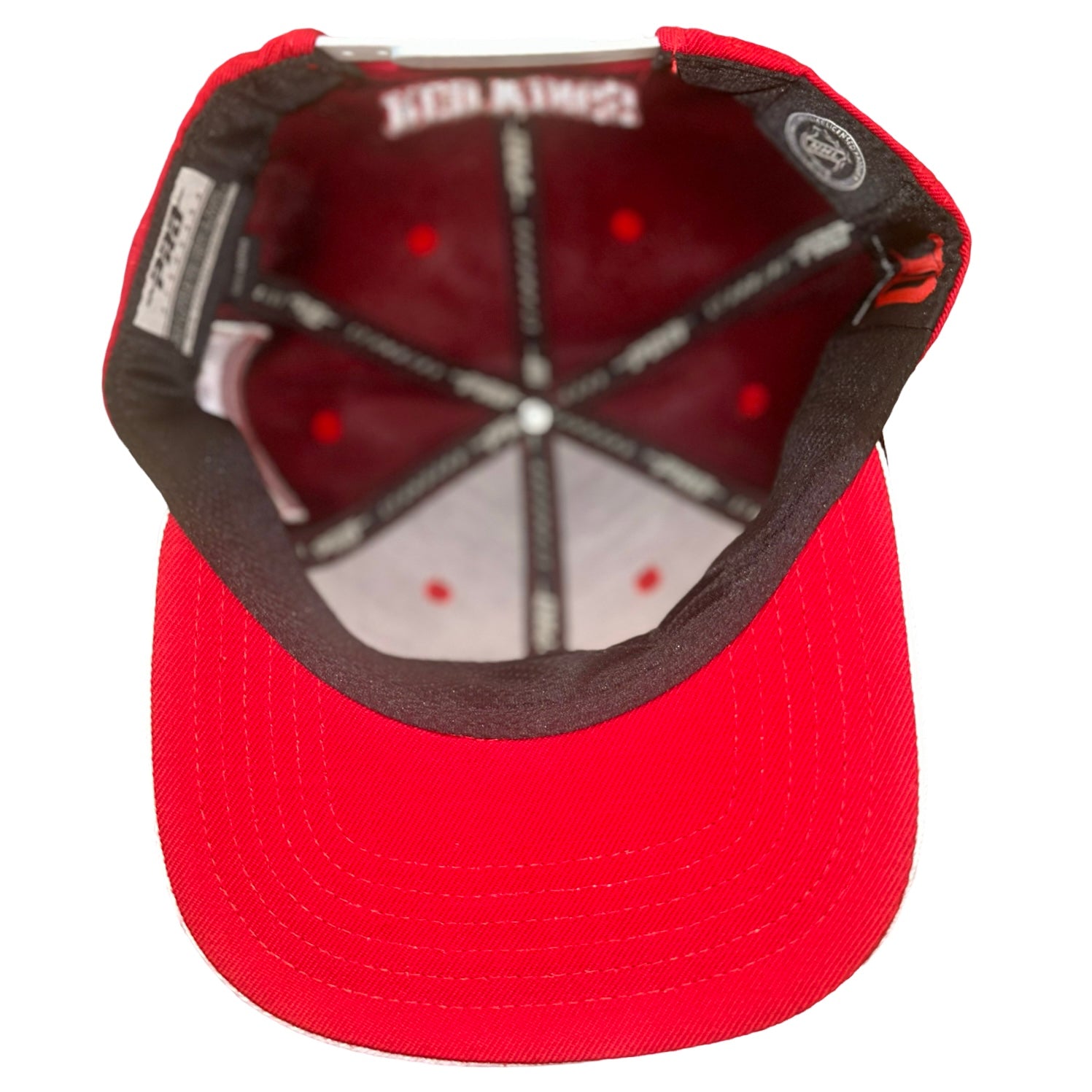 NHL Detroit Red Wings Logo Snapback