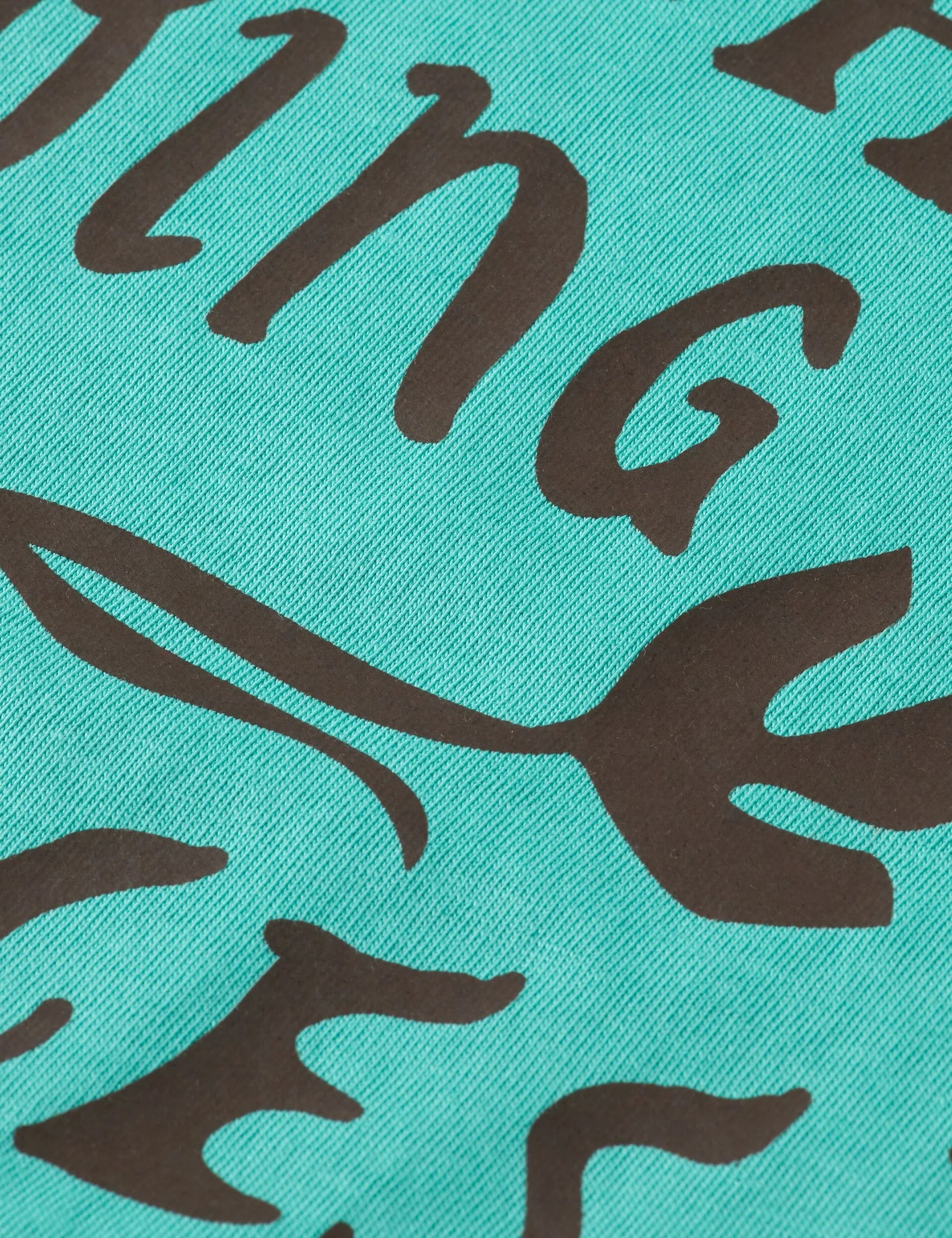 Regular Fit Graphic T-Shirt