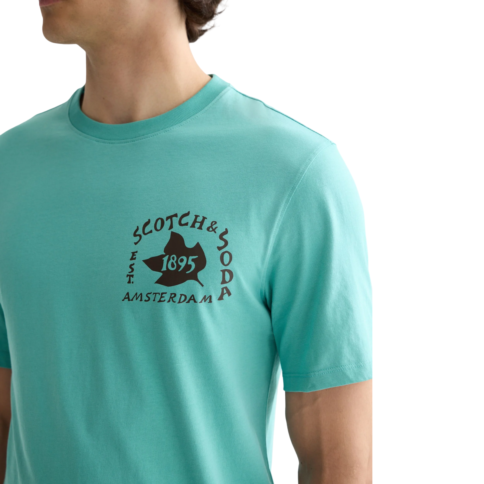 Regular Fit Graphic T-Shirt