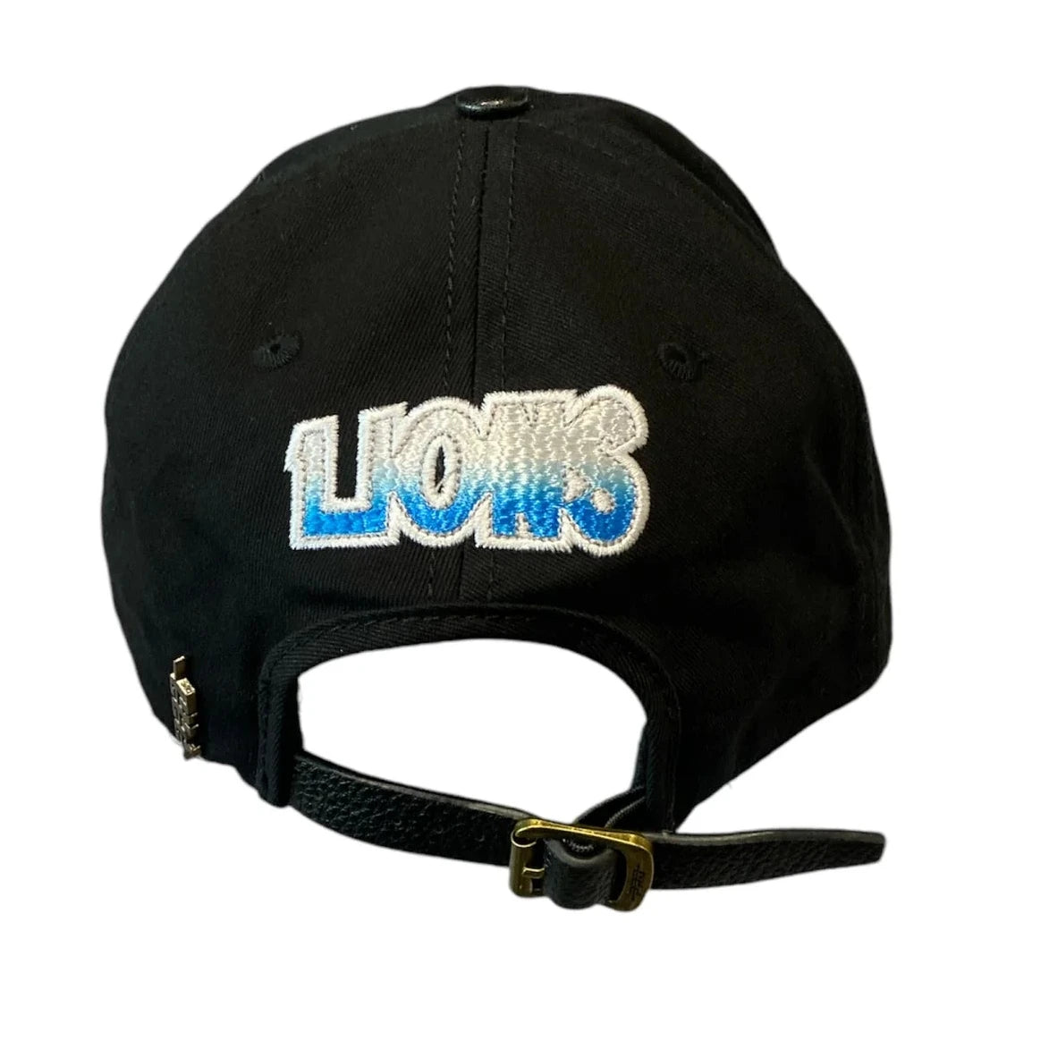 NFL Detroit Lions Embroidered Dad Cap